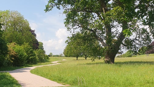 The reinstated perimeter path at A la Ronde, Devon.